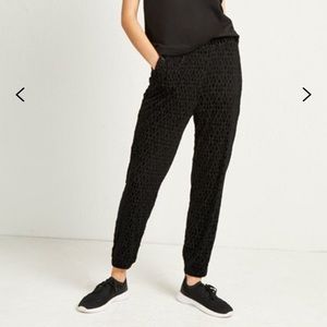 Brand New French Connection Joggers